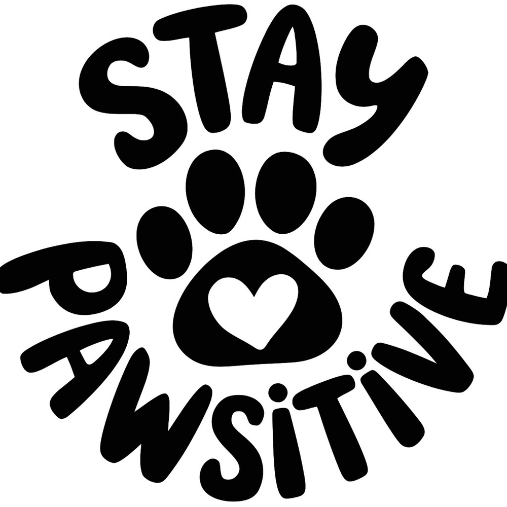 Stay‎ Pawsitive Paw Print Vinyl Decal 4x4 | Dog Lover Car Sticker